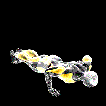 Push-up Pike Toe Touch demonstration