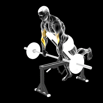 Barbell Incline Reverse-Grip Spider Curl (w/ Chest Support) demonstration