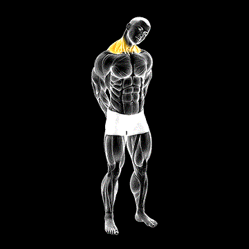 Neck Circle Stretch demonstration