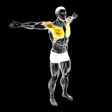Back Slaps Wrap Around Stretch demonstration