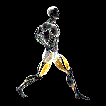 Static Lunge demonstration
