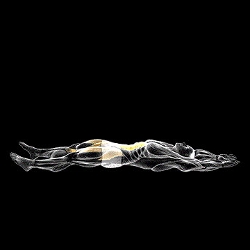 Straight-Leg Sit-Up demonstration