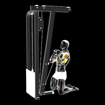 Cable Kneeling Shoulder Press demonstration