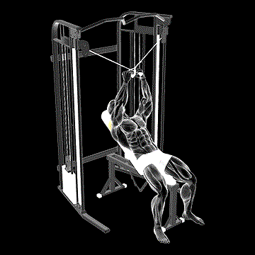 Cable Incline Cross Rear Fly demonstration