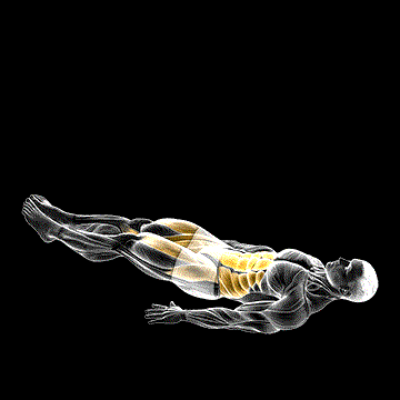 Criss-Cross Leg Raise demonstration