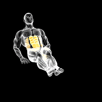 Seated Leg Crunch demonstration