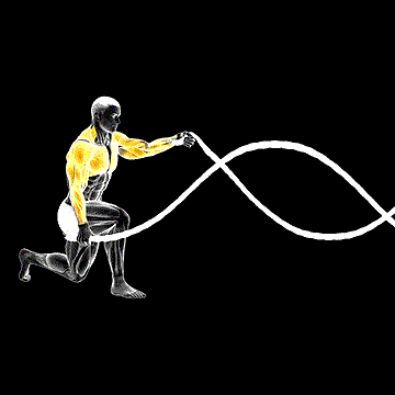 Battling Rope Half Kneeling demonstration