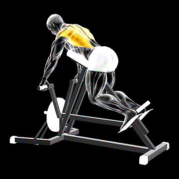 Lever Lying Banded T-Bar Row demonstration
