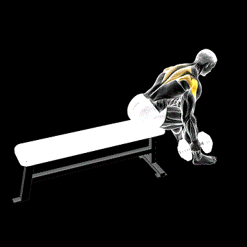 Dumbbell Seated Bent-over Alternate Rear Delt Fly demonstration