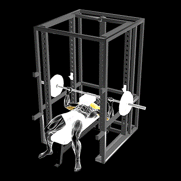 Barbell Bench Press (w/ 3 Board) demonstration