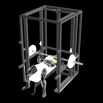 Barbell Bench Press (w/ 1 Board) demonstration