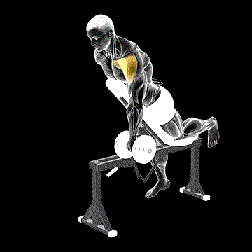Dumbbell Incline One-Arm Front Raise (w/ Chest Support) demonstration