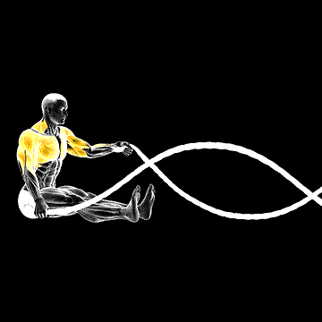Battling Rope Seated demonstration