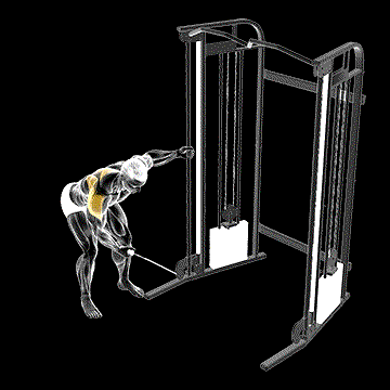 Cable One-Arm Reverse Fly demonstration