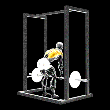 Barbell Deadstop Row (w/ Rack) demonstration