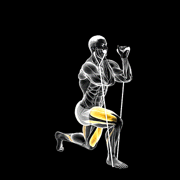 Band Split Squat demonstration