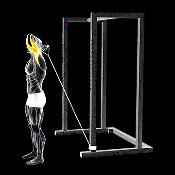 Band Overhead One-Arm Triceps Extension demonstration