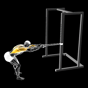 Band Bent-over Lat Pulldown demonstration