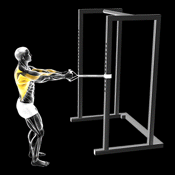 Band Close-Grip Row demonstration