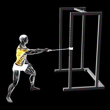 Band Standing One-Arm Twist Row demonstration