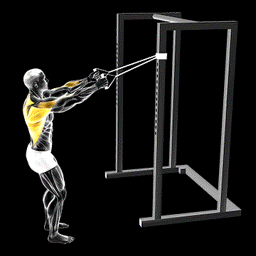 Band Narrow-Grip High Row demonstration