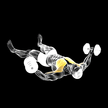 Dumbbell Floor Fly demonstration