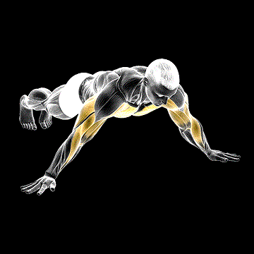 One-Side Archer Push-up demonstration