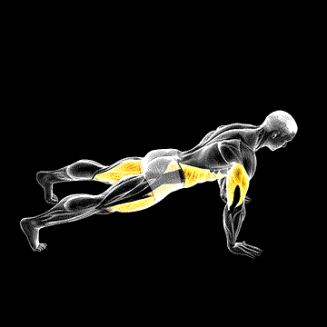 Kick-Through Push-Up demonstration