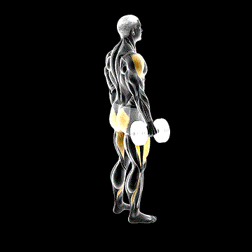 Dumbbell Rear Lunge Front Raise demonstration