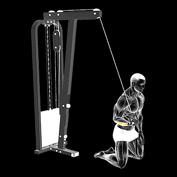 Cable One-Arm Wrist Curl demonstration