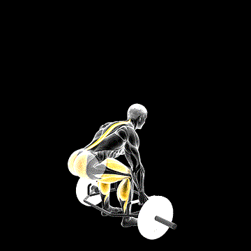 Trap Bar Jump Squat demonstration