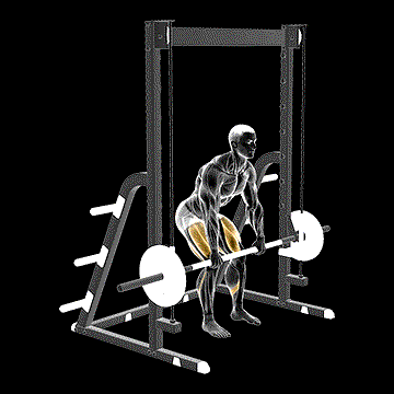 Smith Rack Pull demonstration