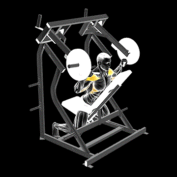 Lever Reverse Shoulder Press demonstration