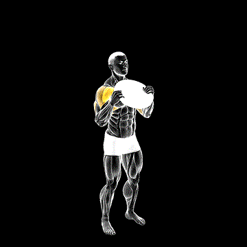 Weighted Standing Shoulder Press demonstration