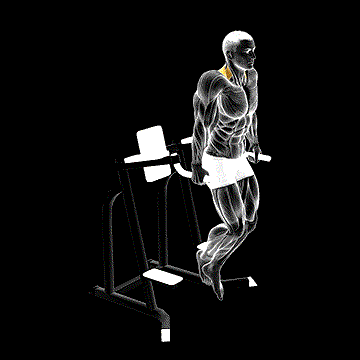 Shrug (w/ Parallel Bars) demonstration
