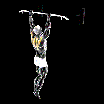 Hanging Scapular Shrug demonstration