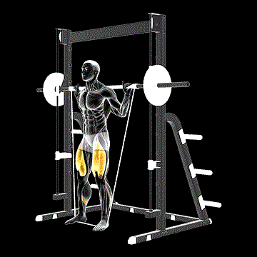 Smith Banded Full Squat demonstration