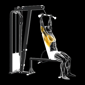 Cable Seated Pullover demonstration