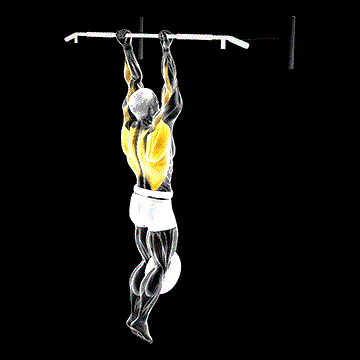 Weighted Hang Chin-up demonstration