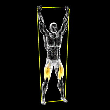 Band Overhead Squat demonstration