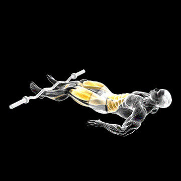 EZ-Bar Reverse Crunch demonstration