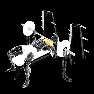 Barbell Bench Press (w/ Chains) demonstration