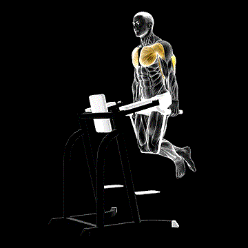 Band-Assisted Dip demonstration
