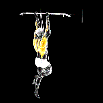 Band-Assisted Chin-up (From Knee) demonstration