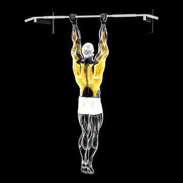 Chin-up Around the Bar demonstration