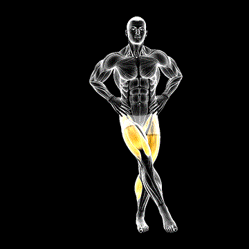 One-Leg Star Balance demonstration