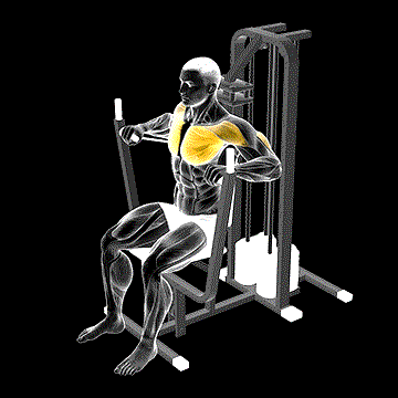 Lever Banded Chest Press demonstration