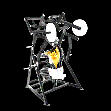 Lever One-Arm Low Row (Plate Loaded) demonstration