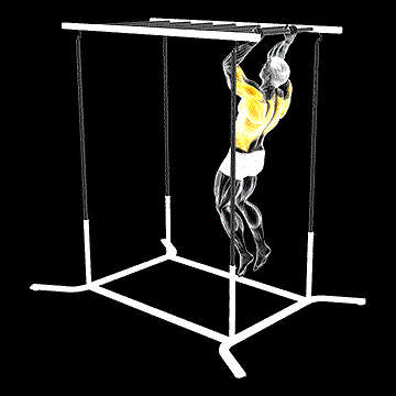 Climbing Monkey Bars demonstration
