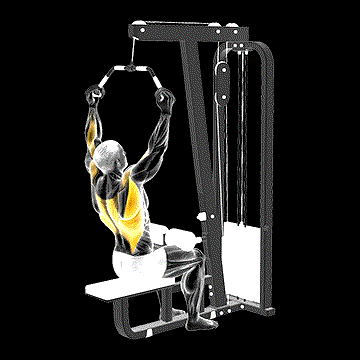 Cable Wide Neutral-Grip Pulldown demonstration